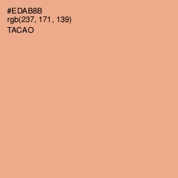 #EDAB8B - Tacao Color Image