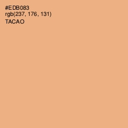 #EDB083 - Tacao Color Image