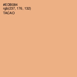 #EDB084 - Tacao Color Image