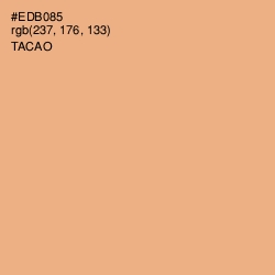 #EDB085 - Tacao Color Image