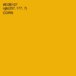 #EDB107 - Corn Color Image