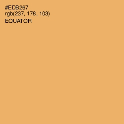 #EDB267 - Equator Color Image