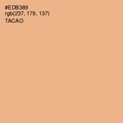 #EDB389 - Tacao Color Image