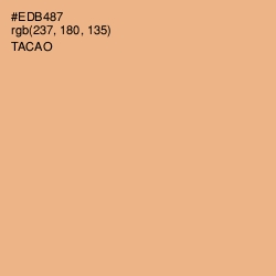 #EDB487 - Tacao Color Image