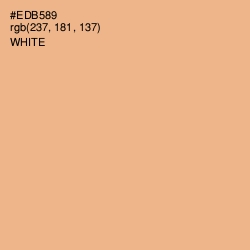 #EDB589 - Tacao Color Image