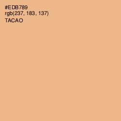 #EDB789 - Tacao Color Image