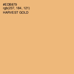 #EDB879 - Harvest Gold Color Image
