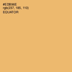 #EDB96E - Equator Color Image