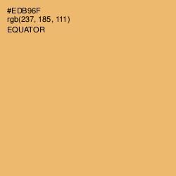 #EDB96F - Equator Color Image