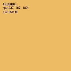 #EDBB64 - Equator Color Image