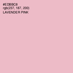 #EDBBC8 - Lavender Pink Color Image