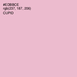 #EDBBCE - Cupid Color Image