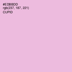 #EDBBDD - Cupid Color Image