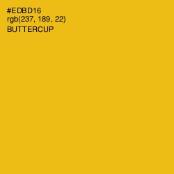 #EDBD16 - Buttercup Color Image