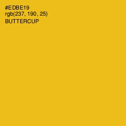 #EDBE19 - Buttercup Color Image