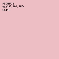 #EDBFC5 - Cupid Color Image