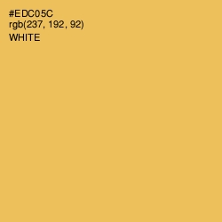 #EDC05C - Cream Can Color Image