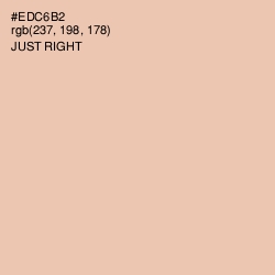 #EDC6B2 - Just Right Color Image