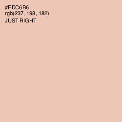 #EDC6B6 - Just Right Color Image