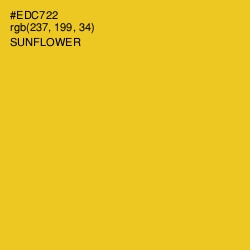 #EDC722 - Sunflower Color Image