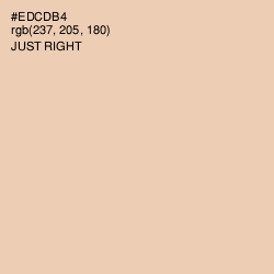 #EDCDB4 - Just Right Color Image