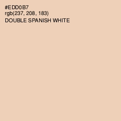 #EDD0B7 - Double Spanish White Color Image