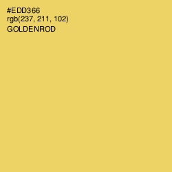 #EDD366 - Goldenrod Color Image