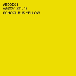 #EDDD01 - School bus Yellow Color Image