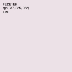 #EDE1E8 - Ebb Color Image