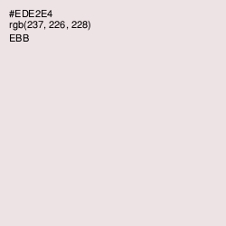 #EDE2E4 - Ebb Color Image