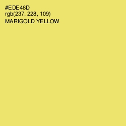 #EDE46D - Marigold Yellow Color Image