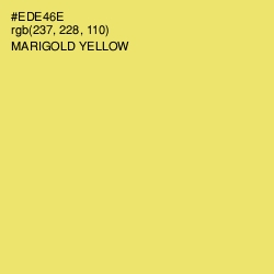 #EDE46E - Marigold Yellow Color Image