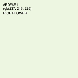 #EDF6E1 - Rice Flower Color Image