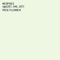 #EDF6E3 - Rice Flower Color Image