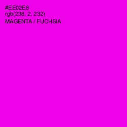 #EE02E8 - Magenta / Fuchsia Color Image