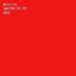 #EE1716 - Red Color Image