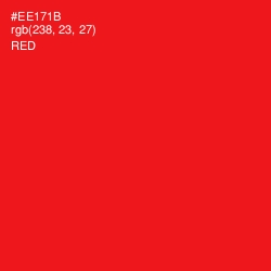 #EE171B - Red Color Image