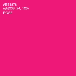 #EE1878 - Rose Color Image