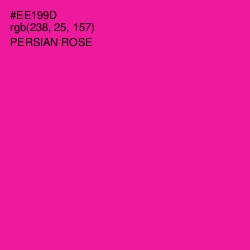 #EE199D - Persian Rose Color Image