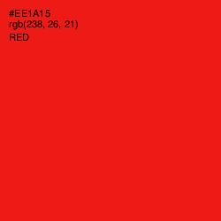 #EE1A15 - Red Color Image