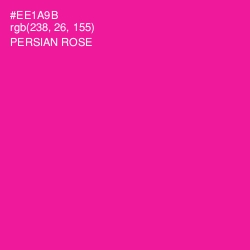 #EE1A9B - Persian Rose Color Image