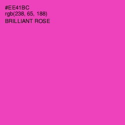 #EE41BC - Brilliant Rose Color Image