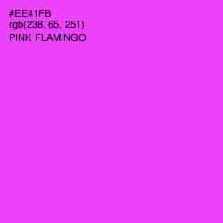 #EE41FB - Pink Flamingo Color Image