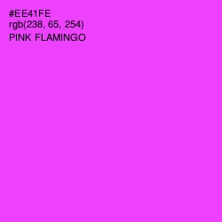 #EE41FE - Pink Flamingo Color Image