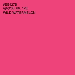 #EE427B - Wild Watermelon Color Image