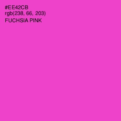 #EE42CB - Fuchsia Pink Color Image