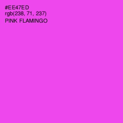 #EE47ED - Pink Flamingo Color Image