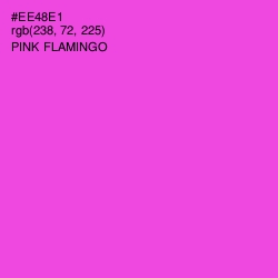 #EE48E1 - Pink Flamingo Color Image