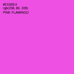 #EE50E4 - Pink Flamingo Color Image
