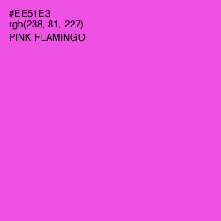 #EE51E3 - Pink Flamingo Color Image